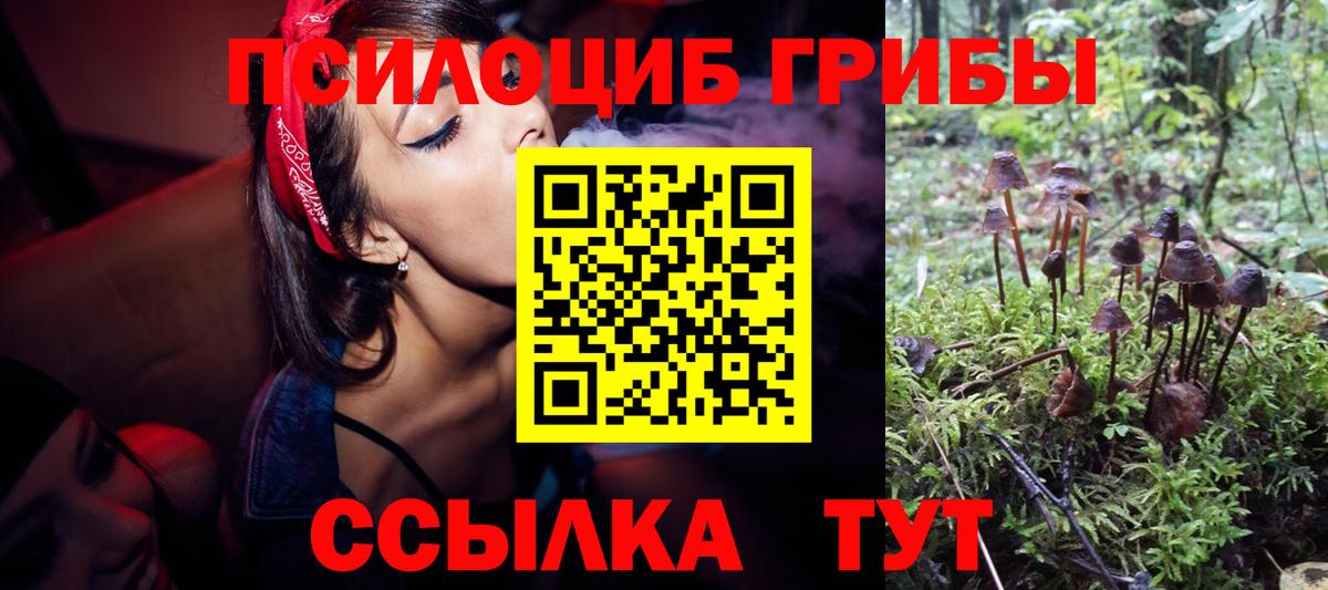 Чистополь  Галлюциногенные грибы мицелий  где купить наркотик  Вход с VPN 